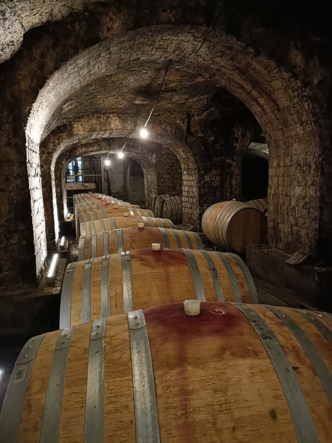 Tibor cellar